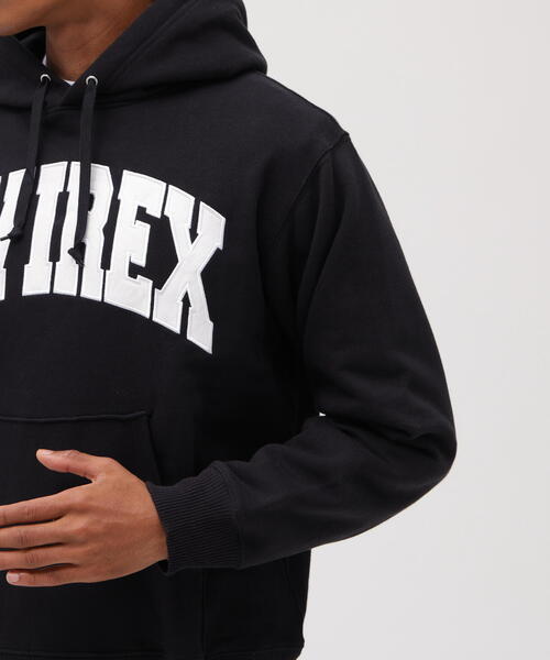AVIREX（アヴィレックス） パーカー メンズ レディース : ZOZOTOWN