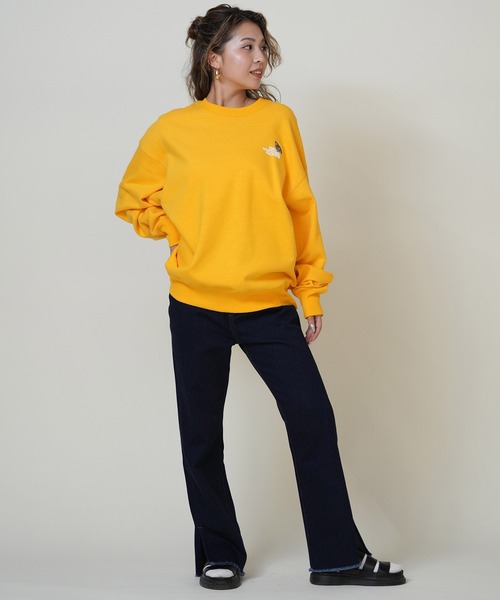 トレーナー スウェット THE NORTH FACE/ザ・ノース・フェイス ZOO PICKER CREW スウェット トレーナー NT12536