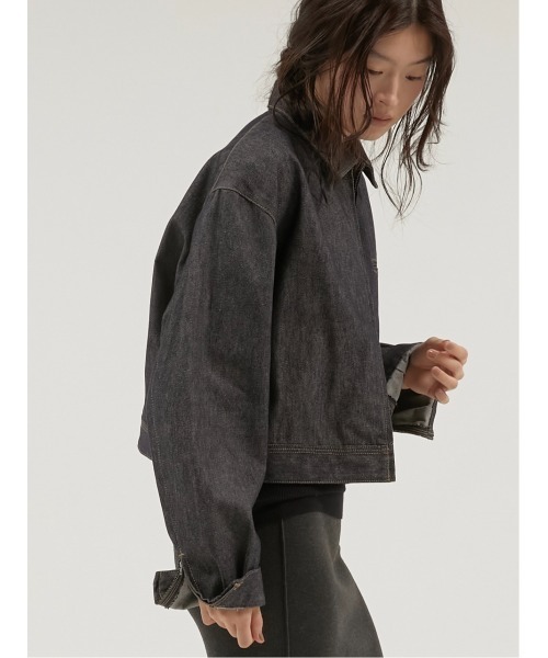 ポ*ー様 DENIME ドゥニーム Lot.009 デニムジャケット L Gジャ la peau de gem（ラポドゥジェム） デニムジャケット gジャン デニム