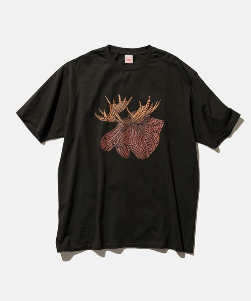 tシャツ SCREEN STARS/スクリーンスターズ 別注フォトTEE レディース SCREEN STARS tシャツ 「SCREEN STARS/スクリーンスターズ
