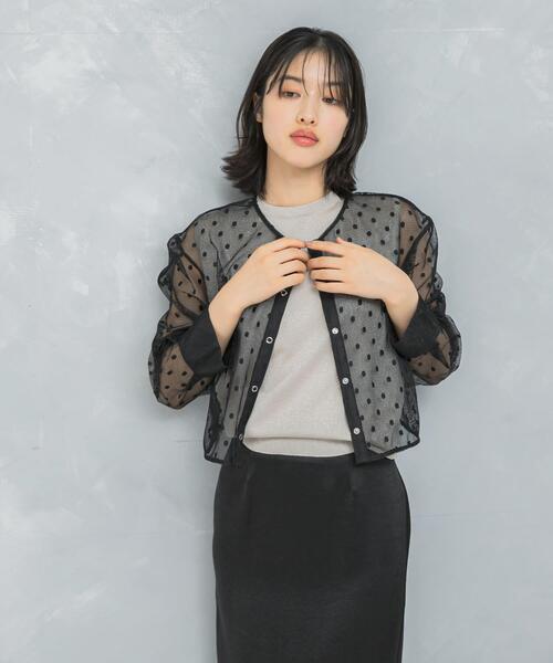 【BLACK】シアーメッシュドットプルオーバー シアーメッシュドットプルオーバー レディース : ZOZOTOWN Yahoo!店
