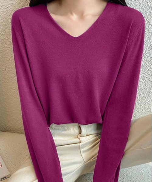 BLANC FICELLE ニット セーター 薄手 ニット Vネック レディース