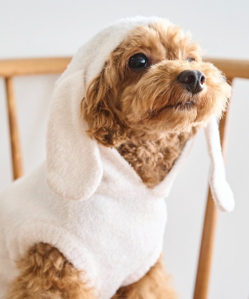 ROPE' PICNIC（ロペ ピクニック） 犬 服 「DOG」ロップイヤーうさみみ