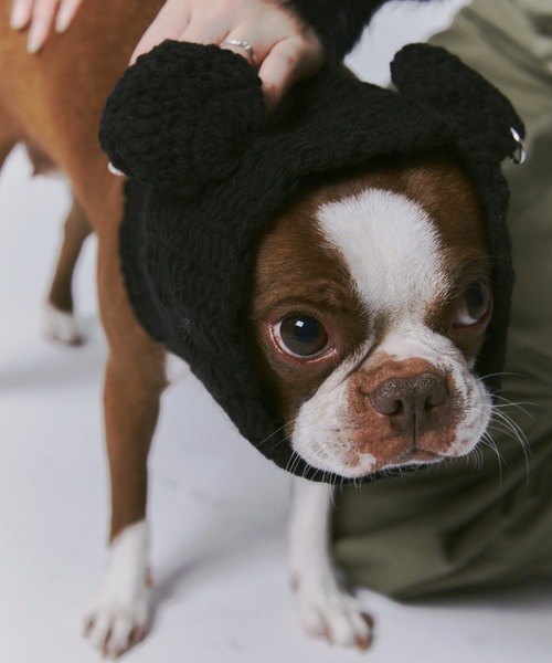 GAB GAB 2WAY犬用ニット帽 : ZOZOTOWN Yahoo!店 - 通販 - Yahoo