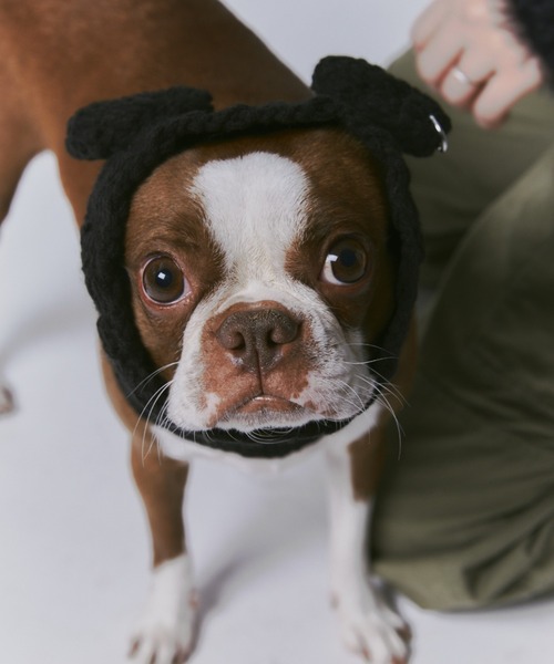 GAB GAB 2WAY犬用ニット帽 : ZOZOTOWN Yahoo!店 - 通販 - Yahoo