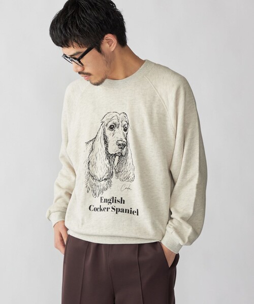 SHIPS（シップス） トレーナー スウェット SHIPS: ドッグ プリント