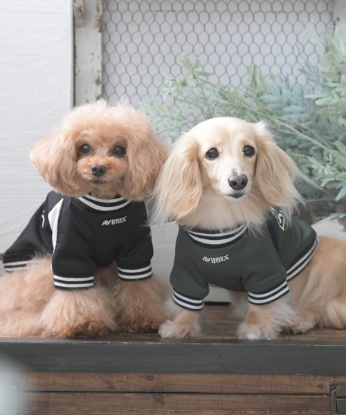 AVIREX（アヴィレックス） 犬 服 AVIREX/トラックJKTロゴ : ZOZOTOWN