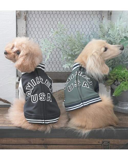 AVIREX（アヴィレックス） 犬 服 AVIREX/トラックJKTロゴ : ZOZOTOWN