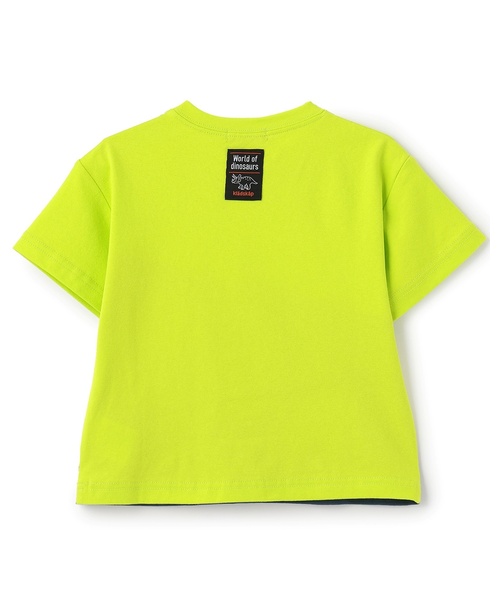 kladskap（クレードスコープ） tシャツ 太古の生き物切替半袖Tシャツ
