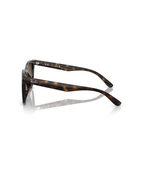 レイバン サングラス 美品 Ray-Ban（レイバン） サングラス サングラス RB4420/紫外線対策 メンズ