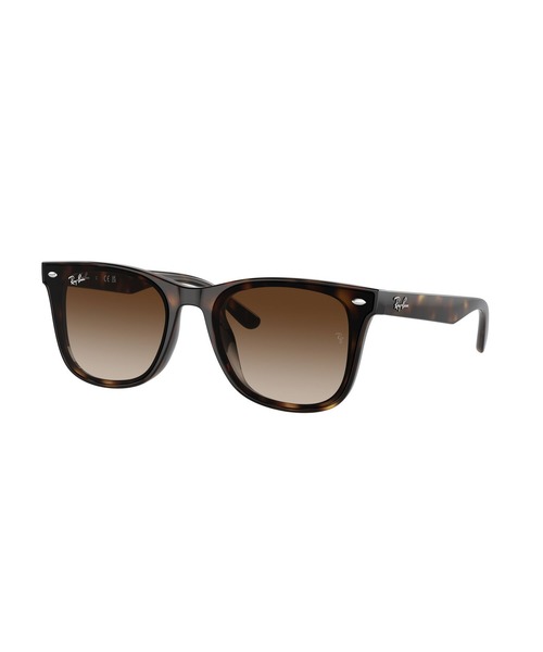 Ray-Ban（レイバン） サングラス サングラス RB4420/紫外線対策 メンズ