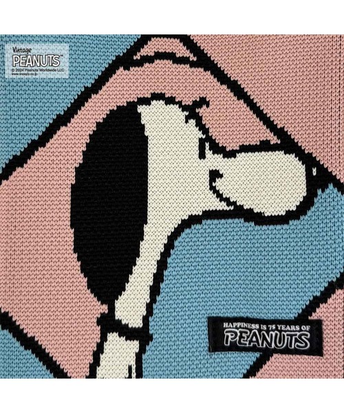 Vintage PEANUTS ショルダーバッグ バッグ 「PEANUTSコミック