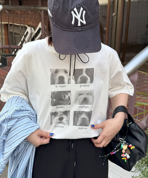 Discoat tシャツ 「ユニセックス」アソートアニマルボックス