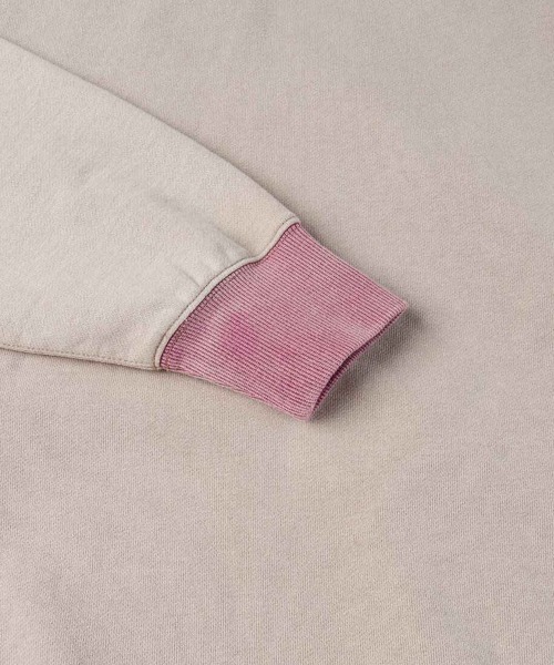 EVISU（エヴィス） パーカー 「EVISU」CONTRAST PANELS AFTER-HOOD