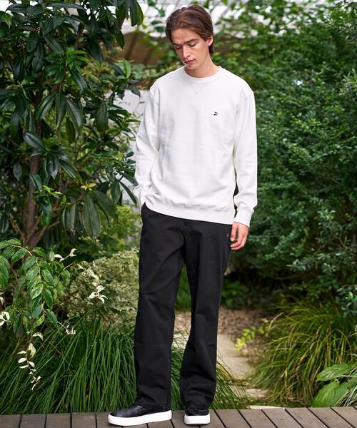 DRESSTERIOR（ドレステリア） トレーナー スウェット 裏起毛 バック9