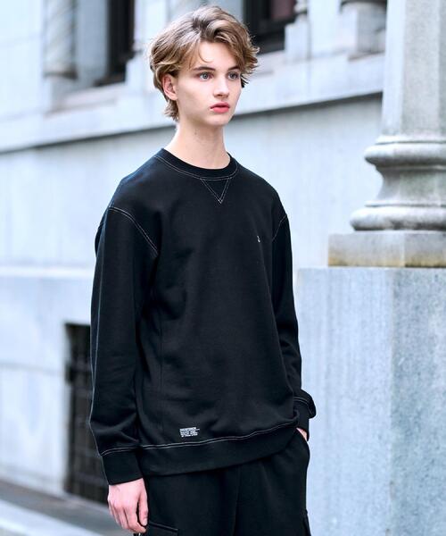 DRESSTERIORドレステリア裏起毛トレーナースウェットサイズSブラック DRESSTERIOR（ドレステリア） トレーナー スウェット 裏起毛 バック9