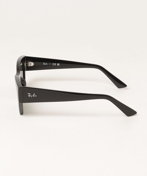 Ray-Ban（レイバン） サングラス レイバンサングラス Zena Bio-Based