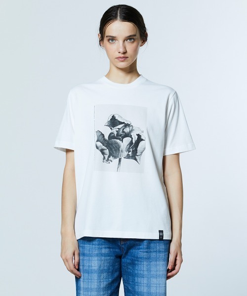DOUBLE STANDARD CLOTHING（ダブルスタンダードクロージング） tシャツ