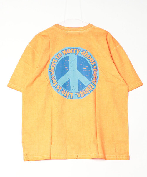 ALDIES（アールディーズ） tシャツ Stupid Snake Big T / スチュー