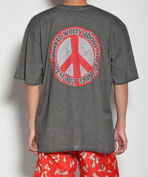 ALDIES（アールディーズ） tシャツ Stupid Snake Big T / スチュー