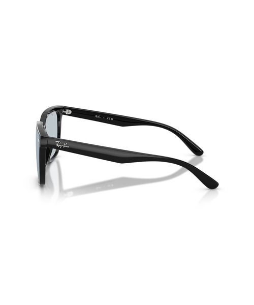 Ray-Ban（レイバン） サングラス サングラス 0RB4466D/カラーレンズ