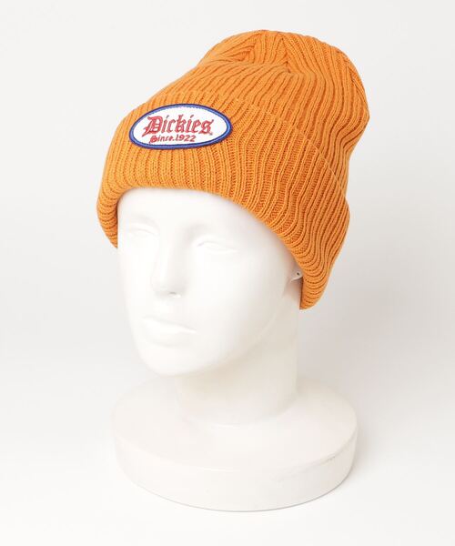 Dickies（ディッキーズ） ニット帽 ニットキャップ 「73」「Dickies
