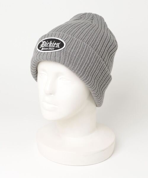 Dickies（ディッキーズ） ニット帽 ニットキャップ 「73」「Dickies
