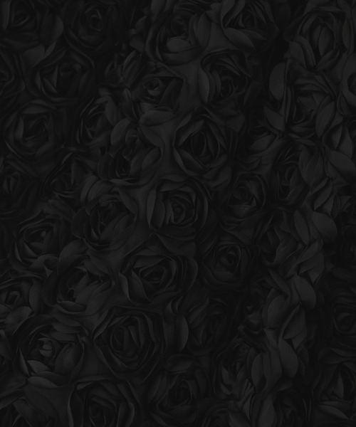 「paravion」 スカート FREE ブラック レディース_画像4