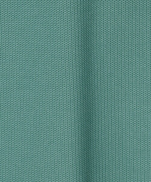 LACOSTE tシャツ 「LACOSTE for BEAUTY＆YOUTH」1トーン ショート 