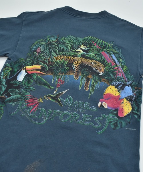 メンズTシャツ グリーン フルーツ柄 古着風 tsv24012721.jpg