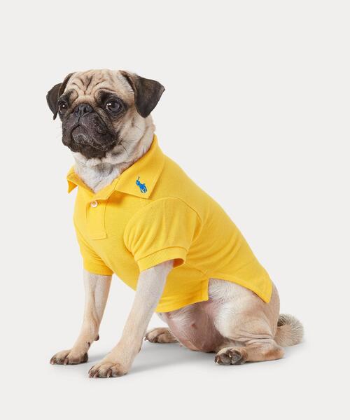 犬 服 コットン メッシュ ドッグ ポロシャツ