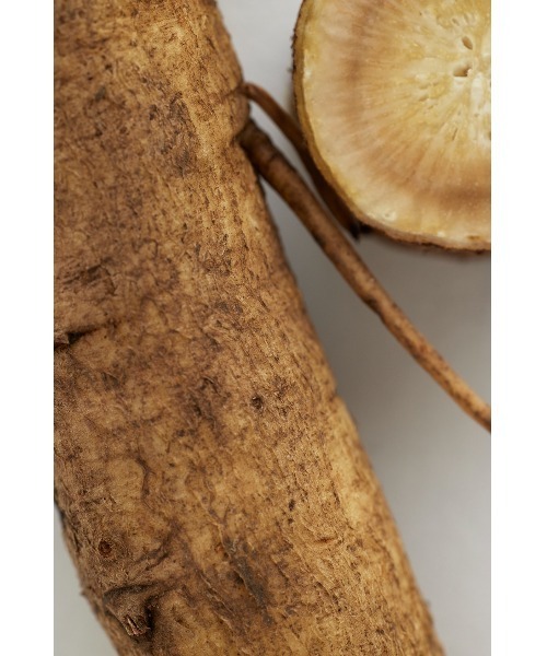 THREE（スリー） 化粧水 バランシングネクター ローション 120ml