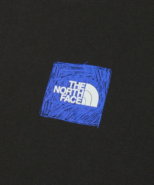 THE NORTH FACE tシャツ FACE/ザ・ノース・フェイス L/S SV