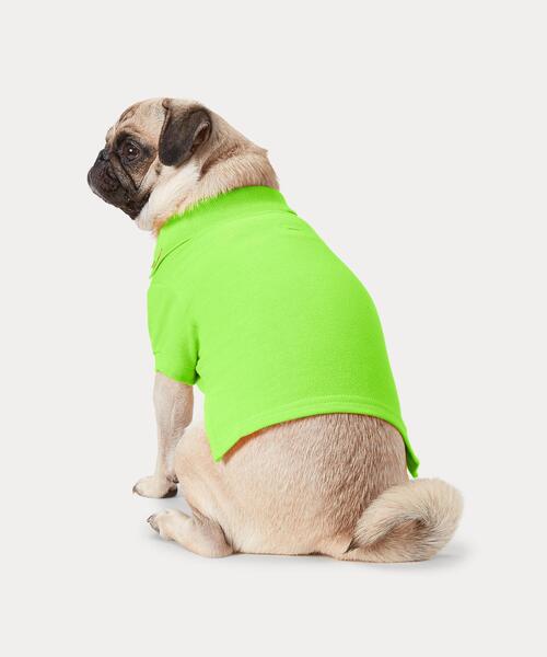  Originals 犬服　ポロシャツ 緑色 犬 服 コットン メッシュ ドッグ ポロシャツ 【公式通販】