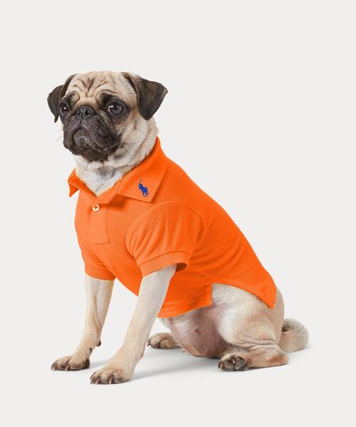 犬 服 コットン メッシュ ドッグ ポロシャツ