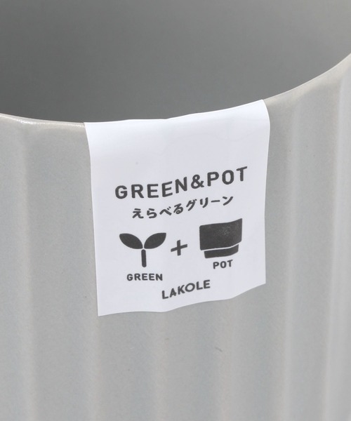 LAKOLE 花瓶 グリーンポット「ラウンド」 / 262969 : ZOZOTOWN