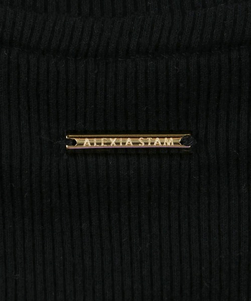 「ALEXIA STAM」 半袖カットソー FREE モカ レディース_画像6