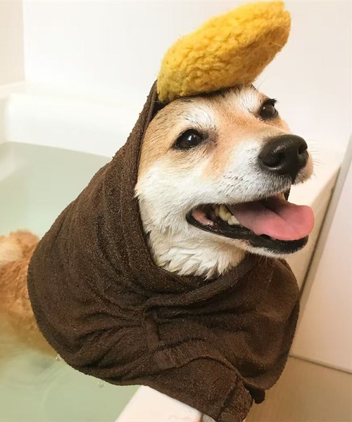 CALIFORNIA OUTFITTERS 犬 おもちゃ 3-11E15 えびふらいモチーフ