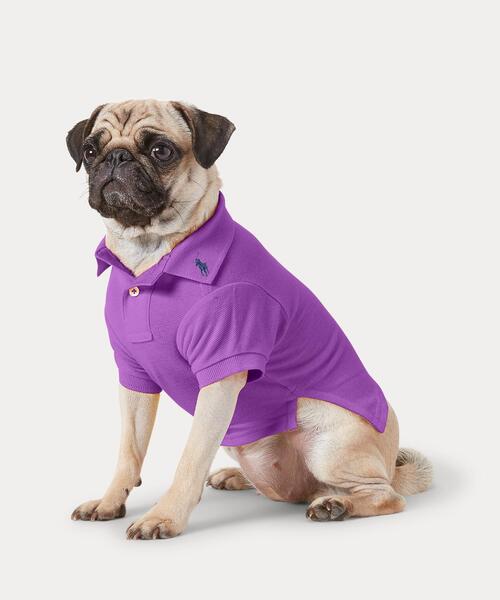 犬 服 コットン メッシュ ドッグ ポロシャツ