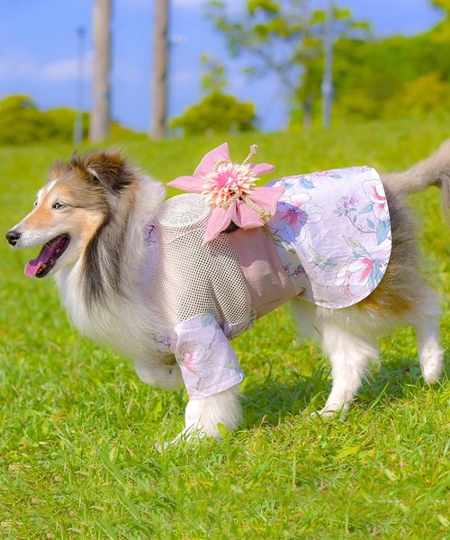 ONEKOSAMA OINUSAMA 犬 服 ペット和装「浴衣」(ファンなし