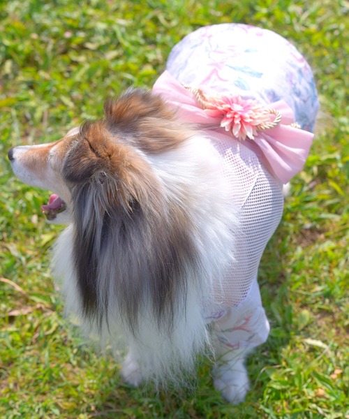 犬服和装 ONEKOSAMA 大型犬 Amazon | ONEKOSAMA OINUSAMA 犬 着物 [ブラック/XS