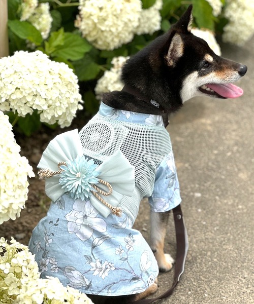 ONEKOSAMA OINUSAMA 犬 服 ペット和装「浴衣」(ファンなし