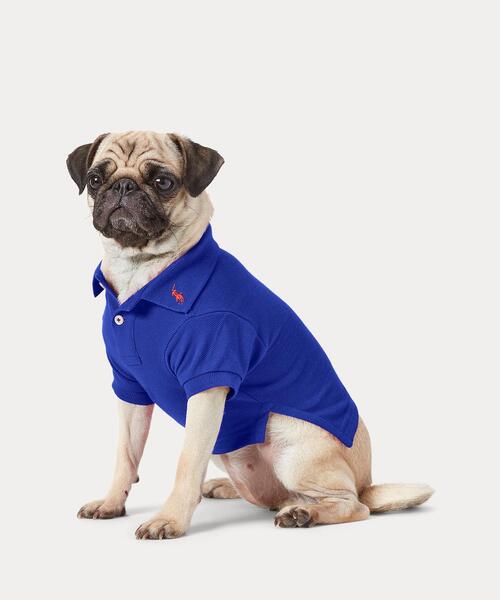 犬 服 コットン メッシュ ドッグ ポロシャツ