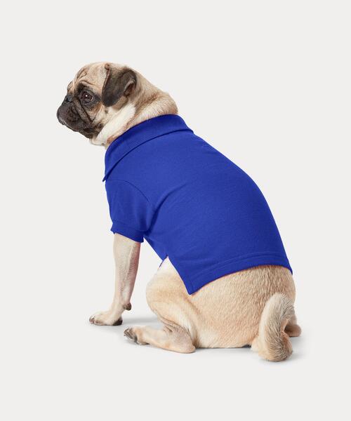 犬 服 コットン メッシュ ドッグ ポロシャツ_2