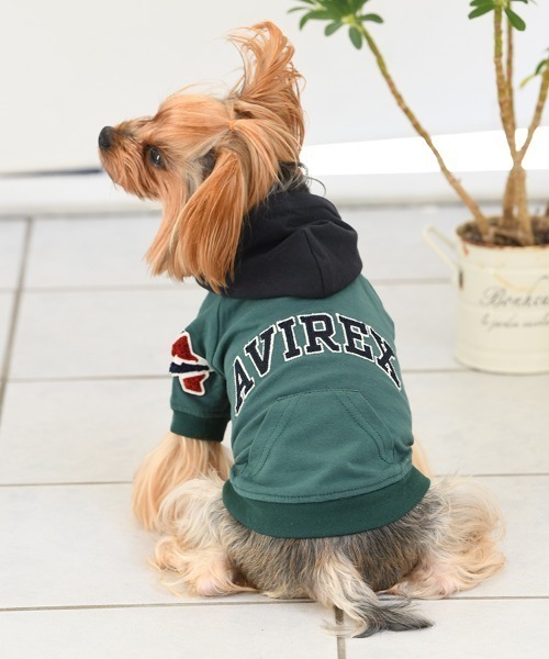 AVIREX（アヴィレックス） 犬 服 AVIREX/アーチロゴフードパーカー