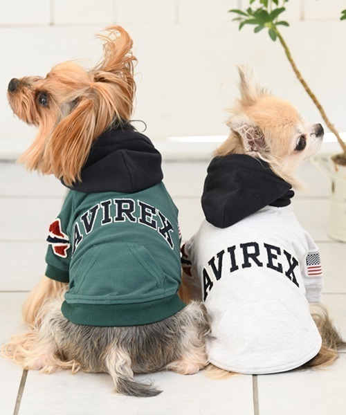 AVIREX（アヴィレックス） 犬 服 AVIREX/アーチロゴフードパーカー