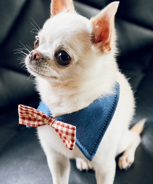 犬 蝶ネクタイ（ROPE' PICNIC）のおすすめ人気商品一覧 通販 - Yahoo