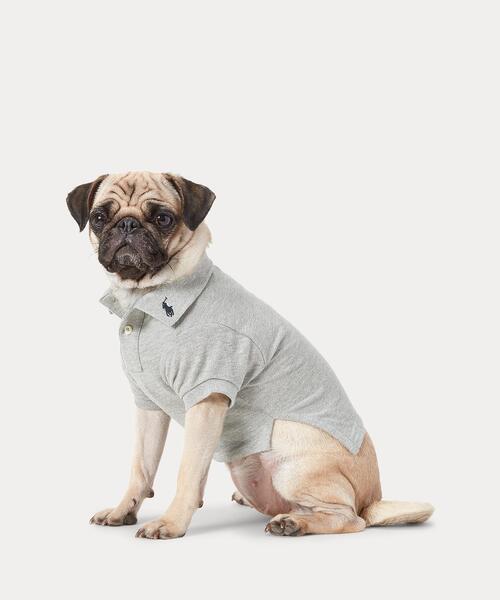 犬 服 コットン メッシュ ドッグ ポロシャツ