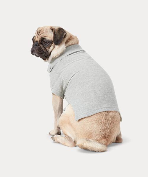 犬 服 コットン メッシュ ドッグ ポロシャツ_2