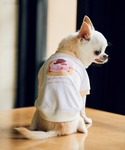 犬 服 「comif(コミフ)×ROPE PI...の詳細画像2